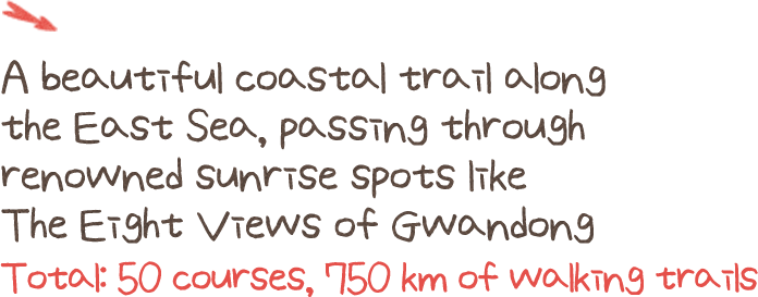 A beautiful coastal trail along the East Sea, passing through renowned sunrise spots like The Eight Views of Gwandong Total: 50 courses, 750 km of walking trails